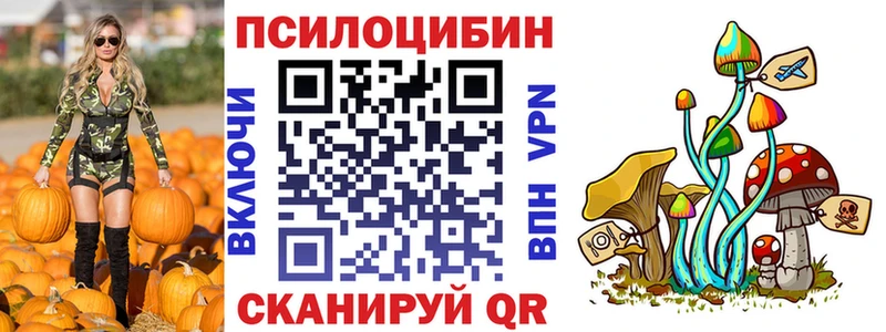 Галлюциногенные грибы GOLDEN TEACHER  блэк спрут вход  Нахабино 